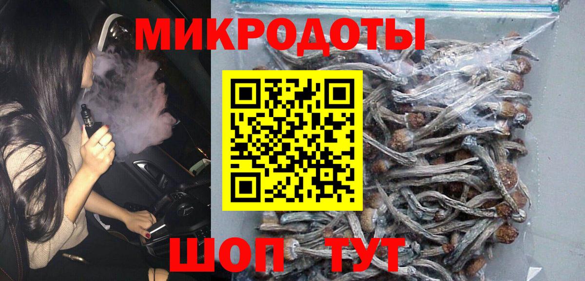 Зеленогорск  Псилоцибиновые грибы Psilocybe  Галлюциногенные грибы Psilocybe  Вход с VPN 
