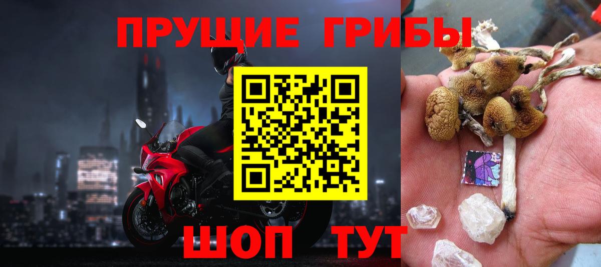 Галлюциногенные грибы мухоморы Зеленогорск