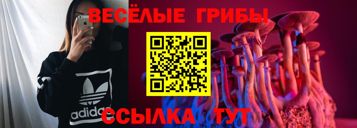 МЕТ  КЕТАМИН  Каннабис  Зеленогорск  Экстази  Меф МЯУ МЯУ   КОКАИН  Гашиш  АМФЕТАМИН   ГАШ  Вход с VPN 